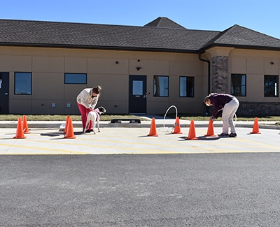 waynsboro-veterinarians-outside-physical-therapy-exercises-for-dogs Outdoor physical therapy