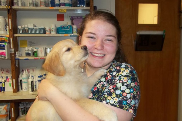 waynesboro-animal-hospital-staff-holding-golden-retriever-puppy Veterinarian holding a puppy after surgery