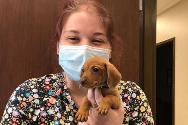 smiling-tech-with-puppy Veterinarian Near Fishersville, VA