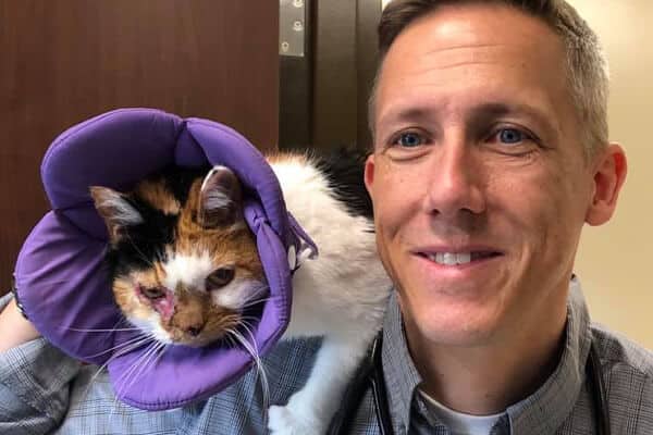 dr-with-cat dr-with-cat